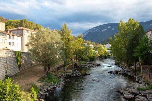 HODEON QUILLAN